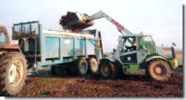 chargement du fumier