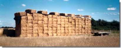 bottes carr&eacute;es