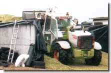 tassement de l'ensilage